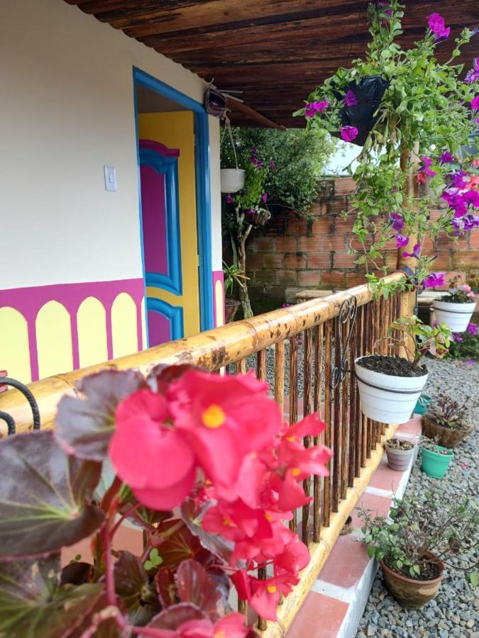 Отель Hostal Casa Madrigal Филандия Экстерьер фото